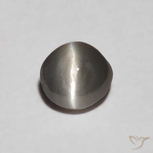 0.16ct 天然 中灰色 金绿玉猫眼, 椭圆形, 不透明
