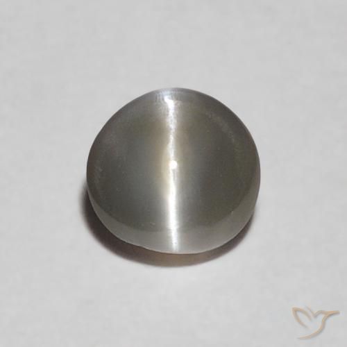 0.30ct 天然 非常浅灰色 金绿玉猫眼, 椭圆形, 不透明