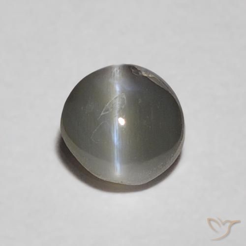 0.37ct 天然 Medium Dark-Gray 金绿玉猫眼, 椭圆形, 不透明
