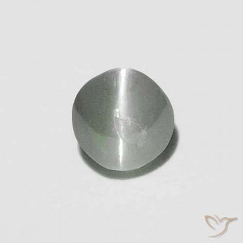 0.16ct 天然 Medium Dark-Grey 金绿玉猫眼, 圆形的, 不透明