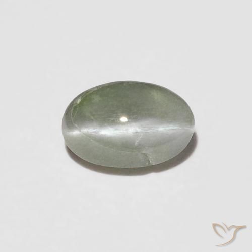 0.26ct 天然 黄绿色 金绿玉猫眼, 椭圆形, 不透明