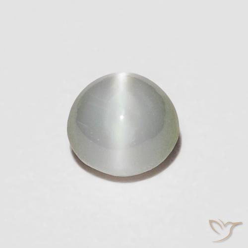 0.23ct 天然 灰绿色 金绿玉猫眼, 椭圆形, 不透明