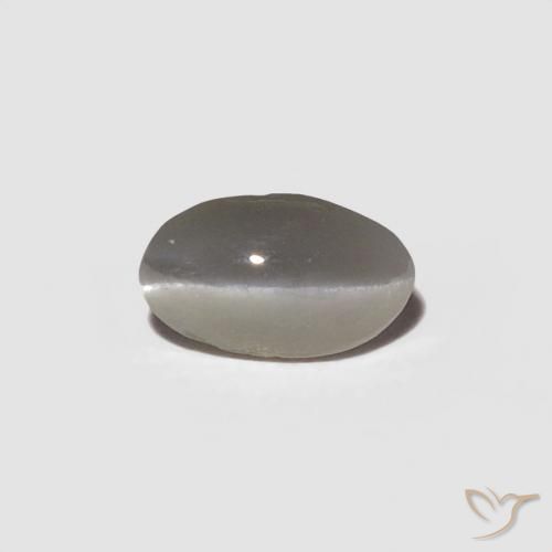 0.29ct 天然 非常浅灰色 金绿玉猫眼, 椭圆形, 不透明