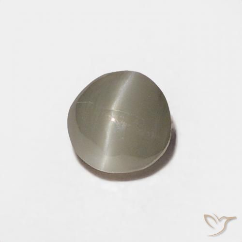 0.20克拉天然金绿玉猫眼，圆形的，不透明
