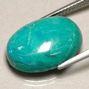 8.90克拉天然绿色硅孔雀石，椭圆形切割，18.1×13.2毫米，不透明