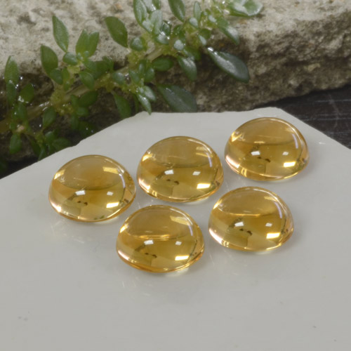 10.33天然金色黄水晶，圆形切割，8.22毫米，透明