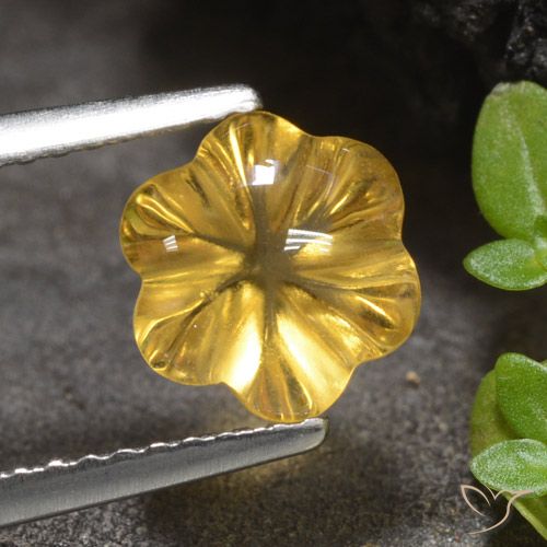 1.66ct 天然 中金 黄水晶, 花形切割, 透明
