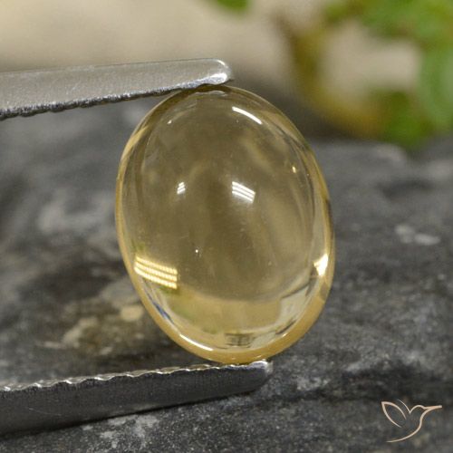 1.47ct 天然 浅金色 黄水晶, 椭圆形, 透明