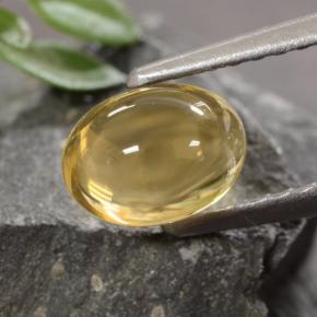 1.07克拉天然金色黄水晶，椭圆形切割，6.9×5.1毫米，透明