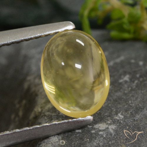 1.43ct 天然 浅金色 黄水晶, 椭圆形, 透明