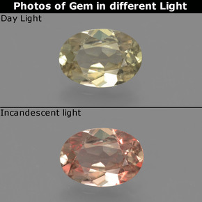 0.73克拉天然变色流散，椭圆形切割，VVS-VS