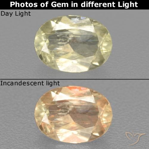 0.51ct 天然 淡黄色 变色流散, 椭圆形, VS