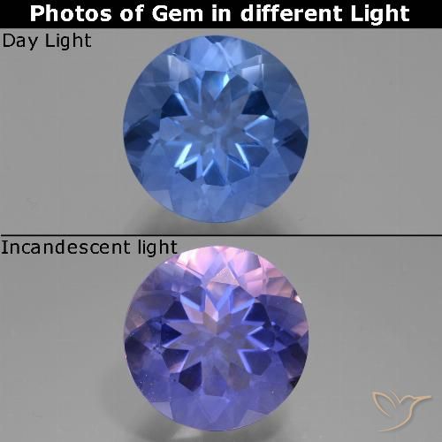 11.61ct 天然 暗蓝色 变色萤石, 圆形的, VVS-VS