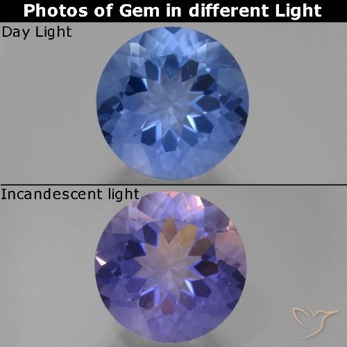 14.55ct 天然 浓海军蓝 变色萤石, 圆形的, VVS-VS