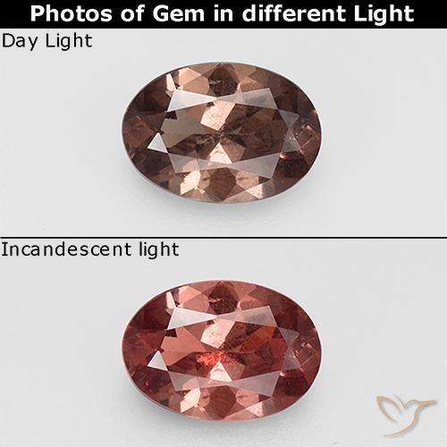 0.74ct 天然 山核桃棕 变色石榴石, 椭圆形, VS