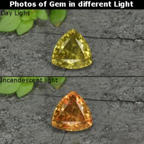 0.70克拉天然黄色变色石榴石，三角形，5.5×5.4毫米，VS