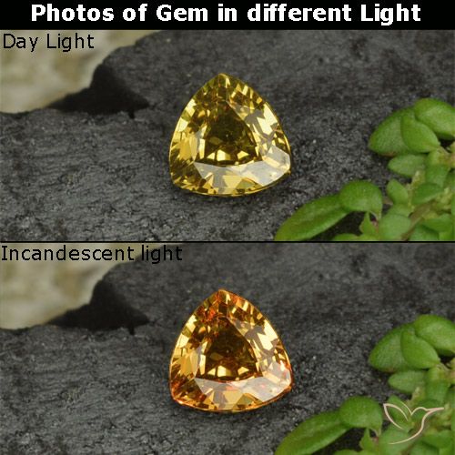 0.61克拉天然黄色变色石榴石，三角形，5.3×5.3毫米，VS