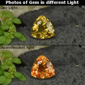 0.68克拉天然黄色变色石榴石，三角形，5.6×5.5毫米，VS
