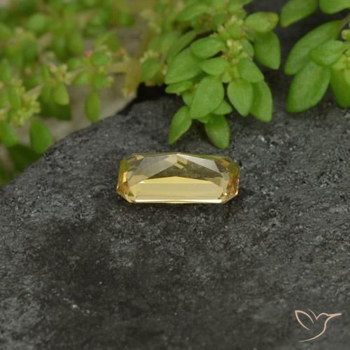 0.73克拉天然变色石榴石，八边形，VVS