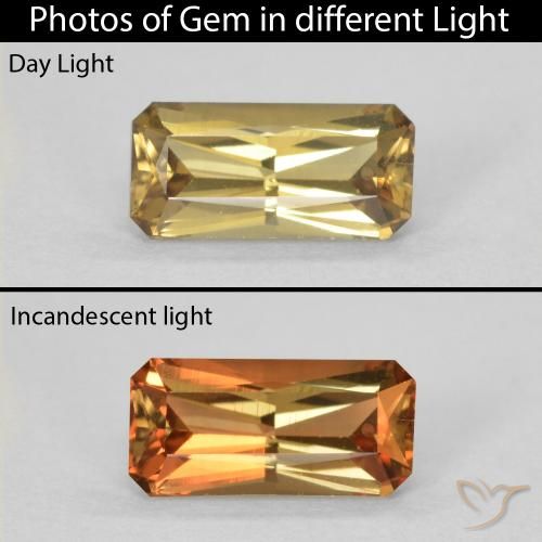 0.73ct 天然 金棕色 变色石榴石, 祖母绿式切割, VVS