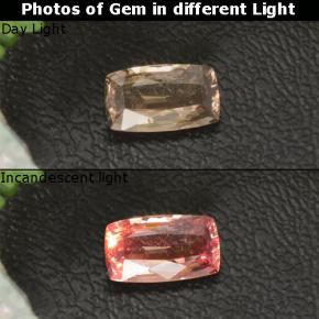 1.20克拉天然多色变色石榴石，垫形剪裁，8.6×5毫米，VVS-VS