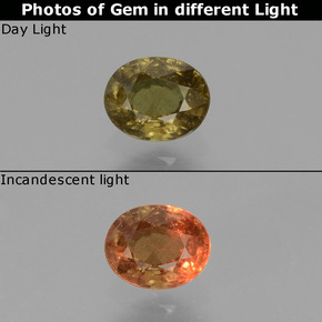 0.55克拉天然变色石榴石，椭圆形切割，VS