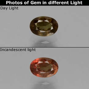 0.74克拉天然变色石榴石，椭圆形切割，VS