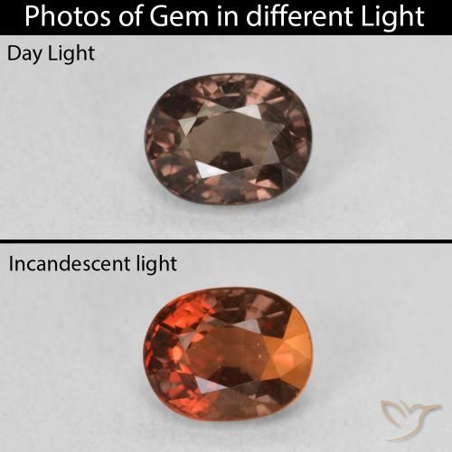1.57ct 天然 中浅棕色 变色石榴石, 椭圆形, VVS-VS