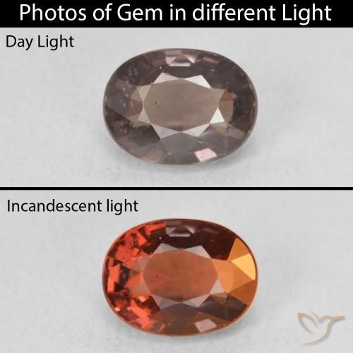 1.58ct 天然 中浅棕色 变色石榴石, 椭圆形, VVS-VS