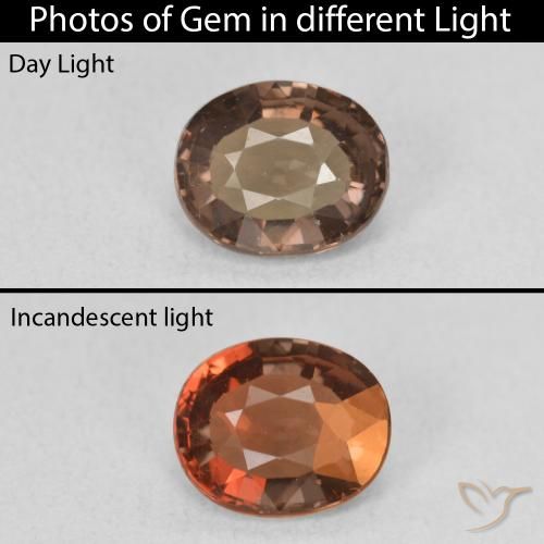 1.38ct 天然 中浅棕色 变色石榴石, 椭圆形, VVS-VS
