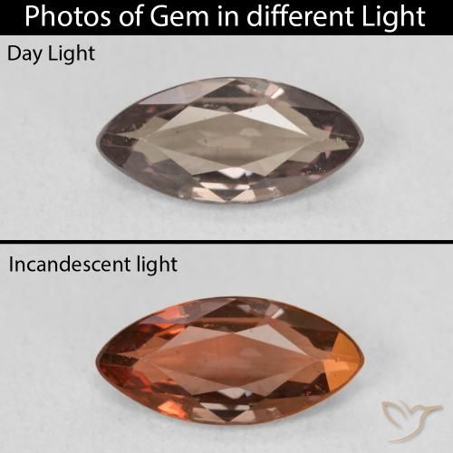 1.23ct 天然 中浅棕色 变色石榴石, 榄尖形, VVS-VS
