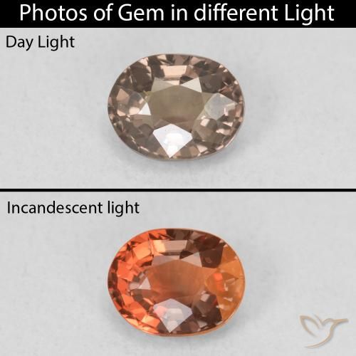 0.79ct 天然 中浅棕色 变色石榴石, 椭圆形, VVS-VS
