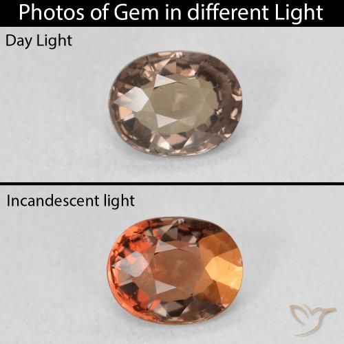 1.05ct 天然 中浅棕色 变色石榴石, 椭圆形, VVS-VS