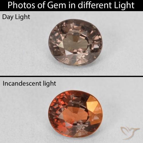 1.24ct 天然 中浅棕色 变色石榴石, 椭圆形, VVS-VS
