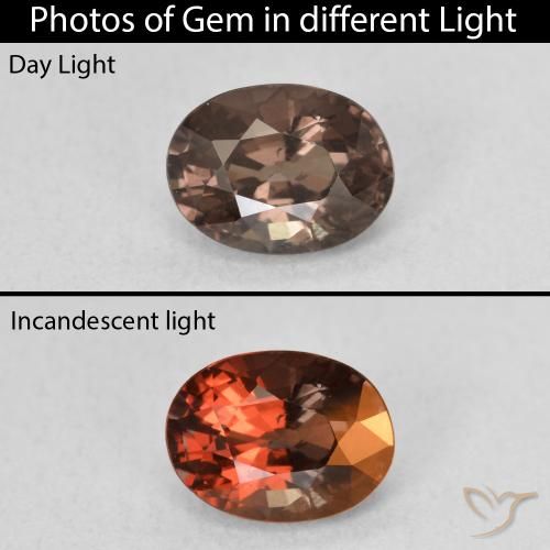 1.25ct 天然 中浅棕色 变色石榴石, 椭圆形, VS