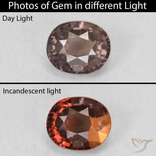 1.50ct 天然 中浅棕色 变色石榴石, 椭圆形, VS