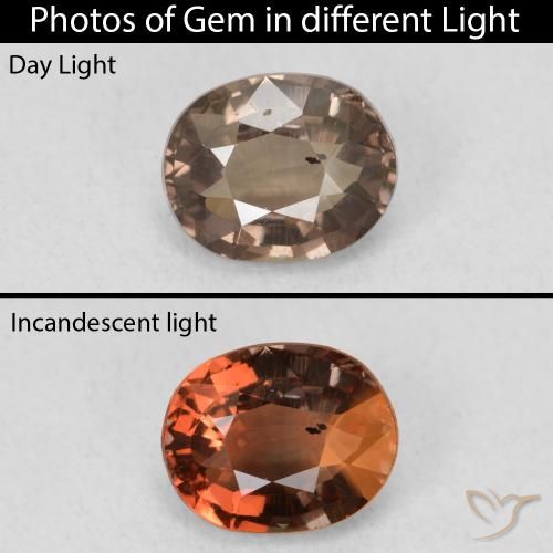 1.23ct 天然 中浅棕色 变色石榴石, 椭圆形, VS