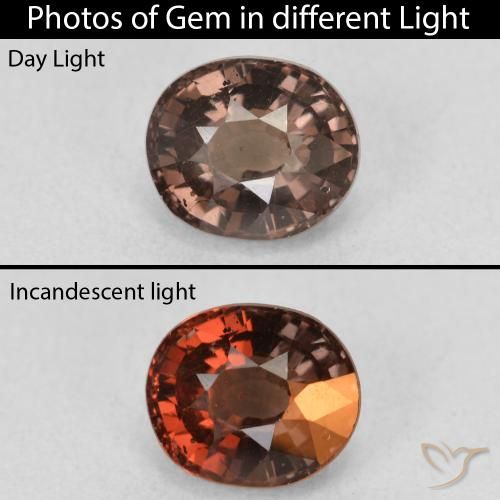 1.60ct 天然 中浅棕色 变色石榴石, 椭圆形, VS