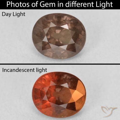 1.44ct 天然 中浅棕色 变色石榴石, 椭圆形, VS