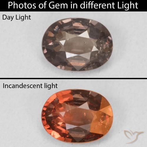 1.18ct 天然 中浅棕色 变色石榴石, 椭圆形, VS