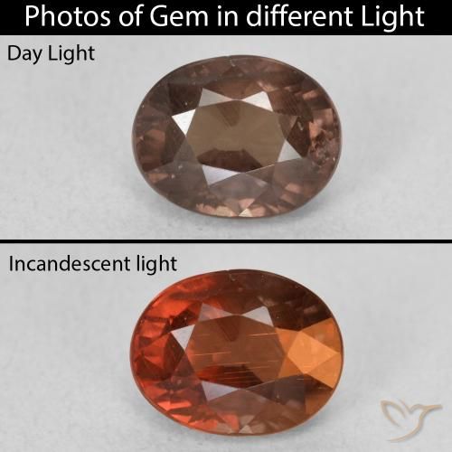 1.65ct 天然 中浅棕色 变色石榴石, 椭圆形, VS