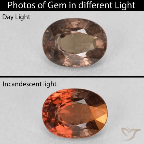 1.27ct 天然 中浅棕色 变色石榴石, 椭圆形, VS