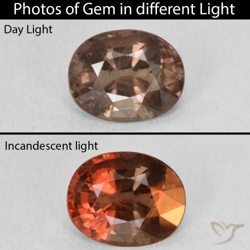 1.29ct 天然 中浅棕色 变色石榴石, 椭圆形, VS
