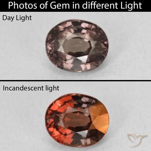 1.36ct 天然 暗棕色 变色石榴石, 椭圆形, VS