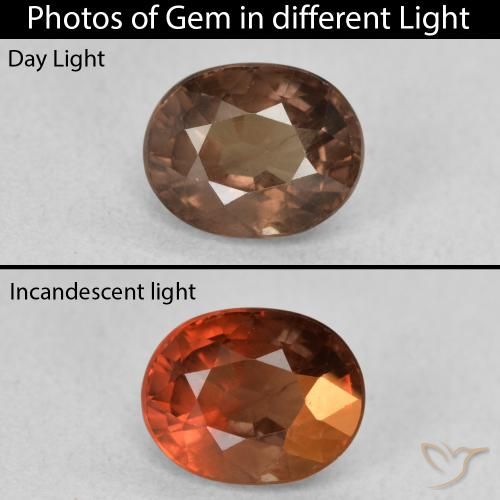 1.57ct 天然 暗棕色 变色石榴石, 椭圆形, VS