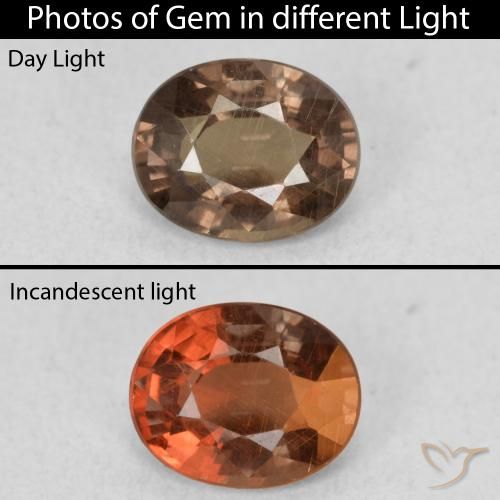 1.01ct 天然 暗棕色 变色石榴石, 椭圆形, VS