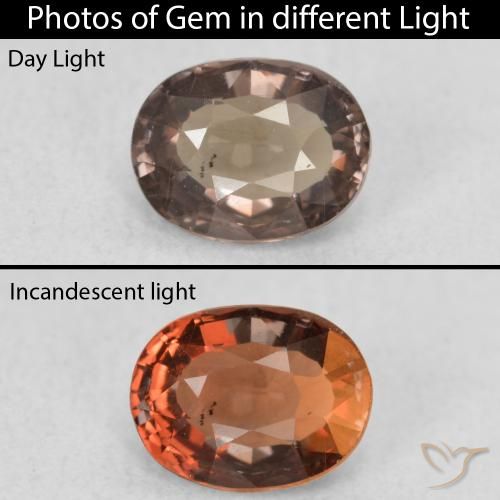 0.94ct 天然 暗棕色 变色石榴石, 椭圆形, VS