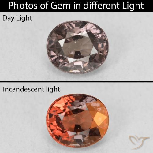 1.00ct 天然 暗棕色 变色石榴石, 椭圆形, VS