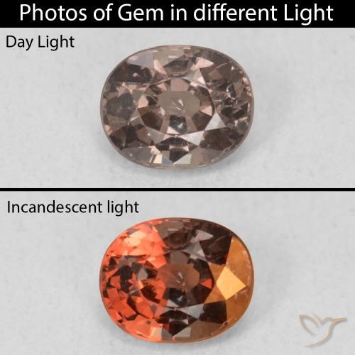 0.97ct 天然 暗棕色 变色石榴石, 椭圆形, VS