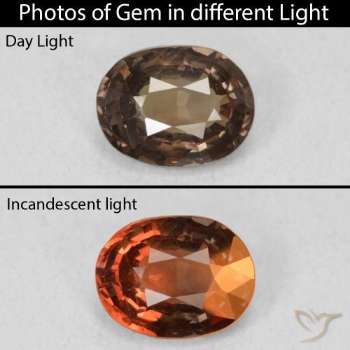 1.26ct 天然 暗棕色 变色石榴石, 椭圆形, VS